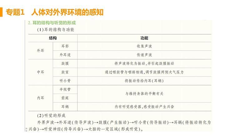 人教版生物七年级下册  第六章  人体生命活动的调节(单元专题强化课件PPT)第3页
