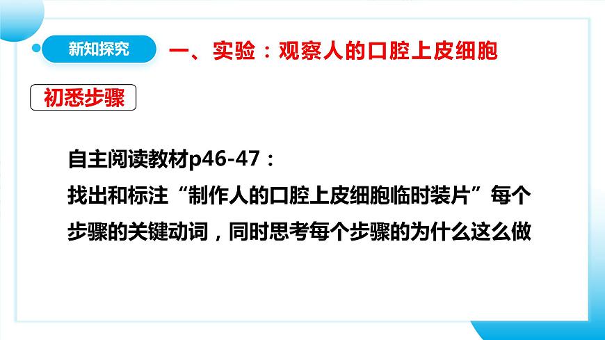 人教版初中生物七年級上冊2.1.3《動物細胞》課件第6頁