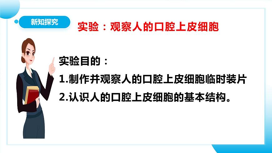 人教版初中生物七年級上冊2.1.3《動物細胞》課件第7頁