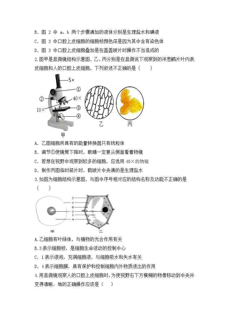 【核心素养目标】人教版 (新课标)初中生物七年级上册2.1.3《动物细胞》课件+教案+同步分层练习（含答案）03