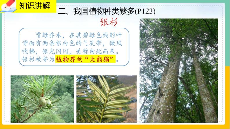 7.2《我国的植物资源》课件PPT+教案+同步练习07