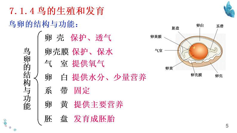 八年级下册知识默写-【临考必背】备战2022年中考生物知识点默写与背诵(人教版)05