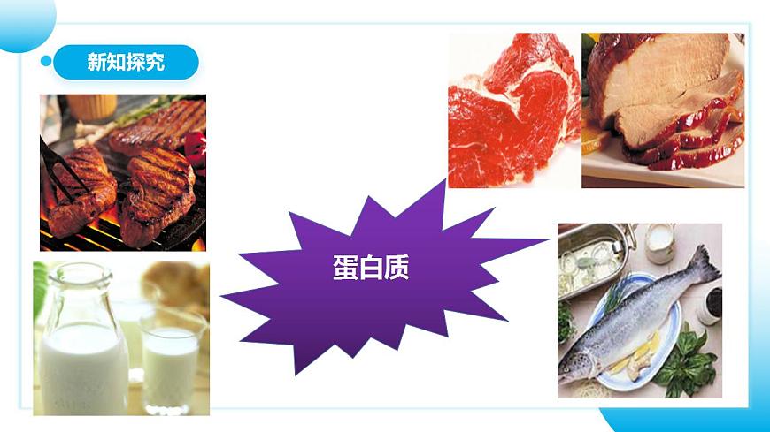 人教版初中生物七年級上冊2.1.4《細(xì)胞的生活》課件第7頁