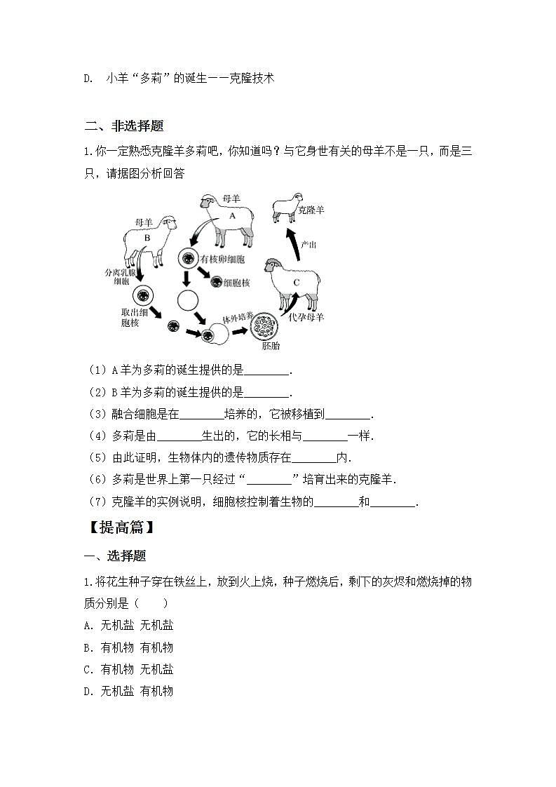 【核心素养目标】人教版 (新课标)初中生物七年级上册2.1.4《细胞的生活》课件+教案+同步分层练习(含答案)02