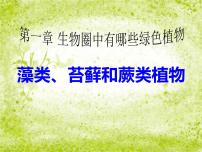 人教版 (新课标)七年级上册第一节 藻类、苔藓和蕨类植物教课课件ppt