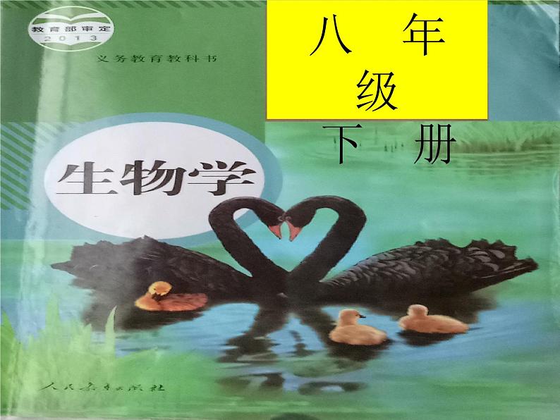 第7单元第1章第1节 植物的生殖 课件03