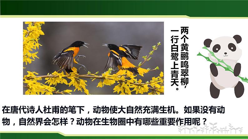 5.3 动物在生物圈中的作用-课件第3页