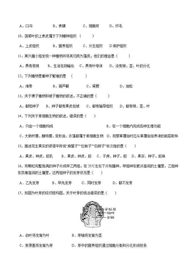 人教版生物七年级上册月考试题1 含答案第2页