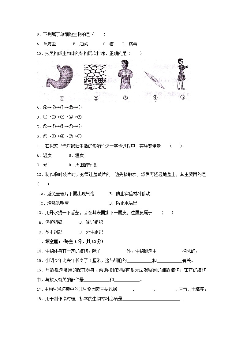 人教版生物七年级上册期中试题9 含答案.doc第2页