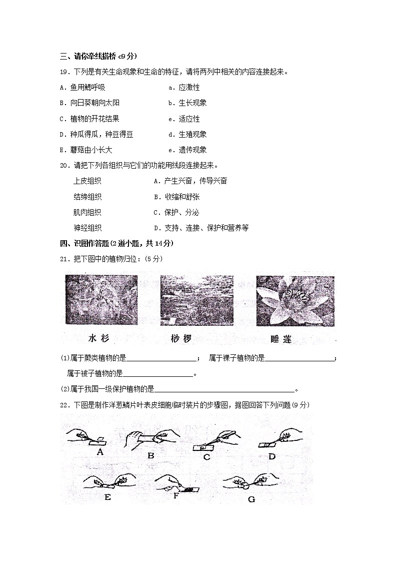 人教版生物七年级上册期中试题9 含答案.doc第3页
