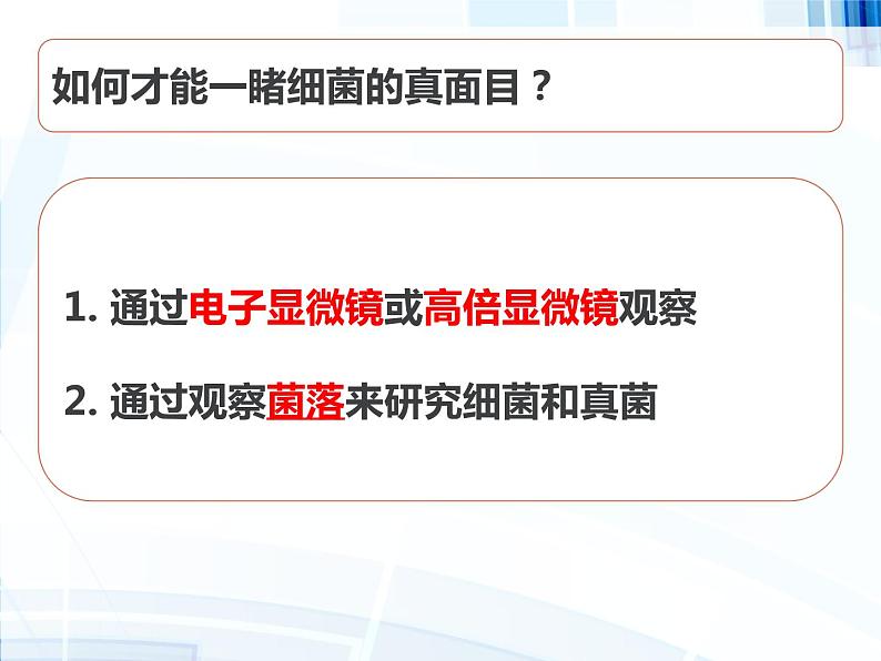 第五单元 第四章 第一节 细菌和真菌的分布第6页
