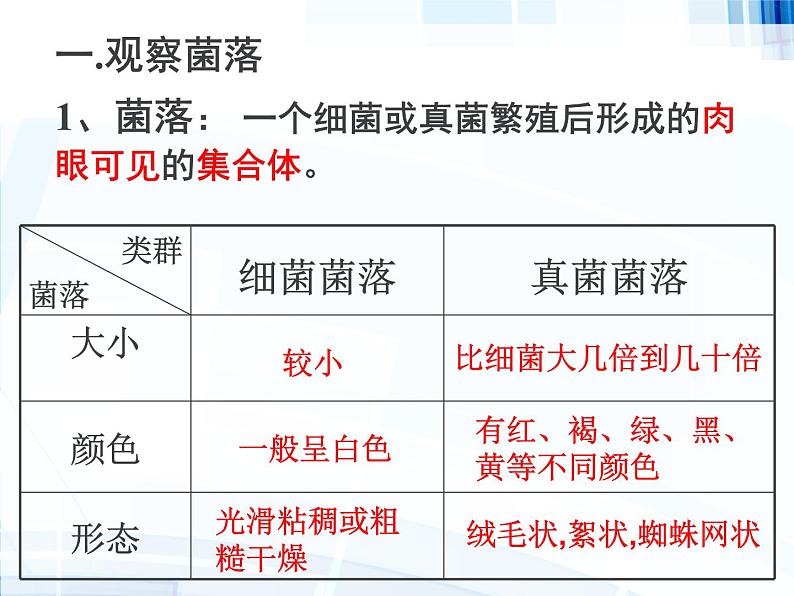 第五单元 第四章 第一节 细菌和真菌的分布第7页
