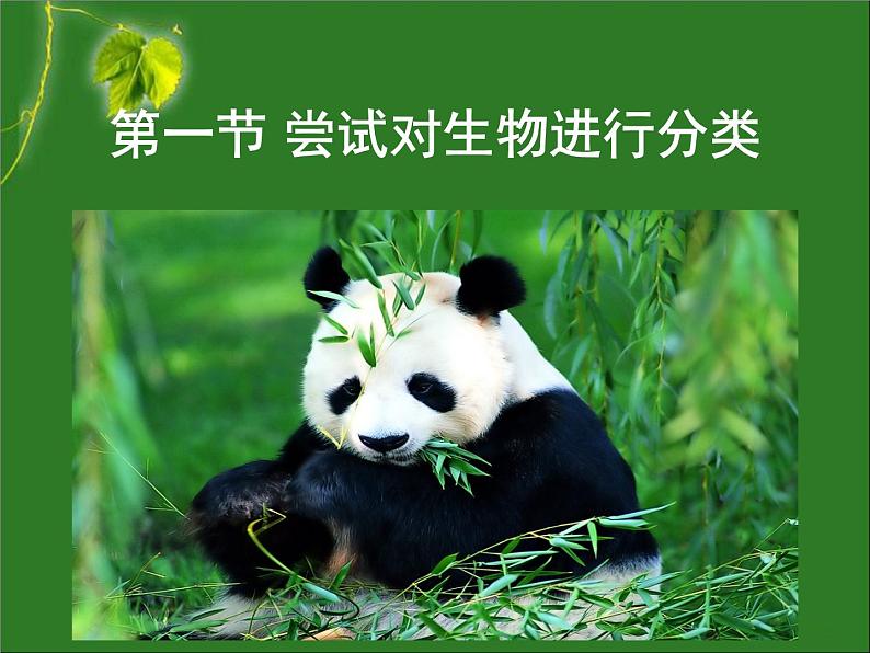 第六单元 第一章 第一节 尝试对生物进行分类第1页