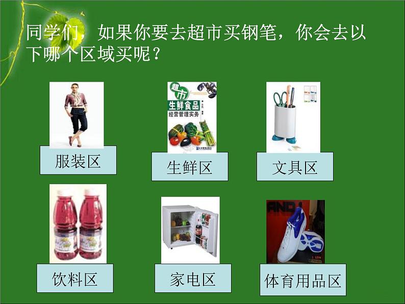 第六单元 第一章 第一节 尝试对生物进行分类第6页