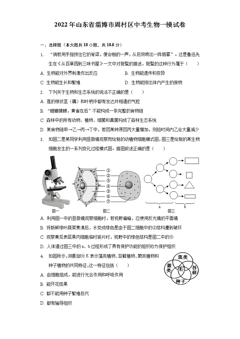 2022年山东省淄博市周村区中考生物一模试卷 (word版含答案)01