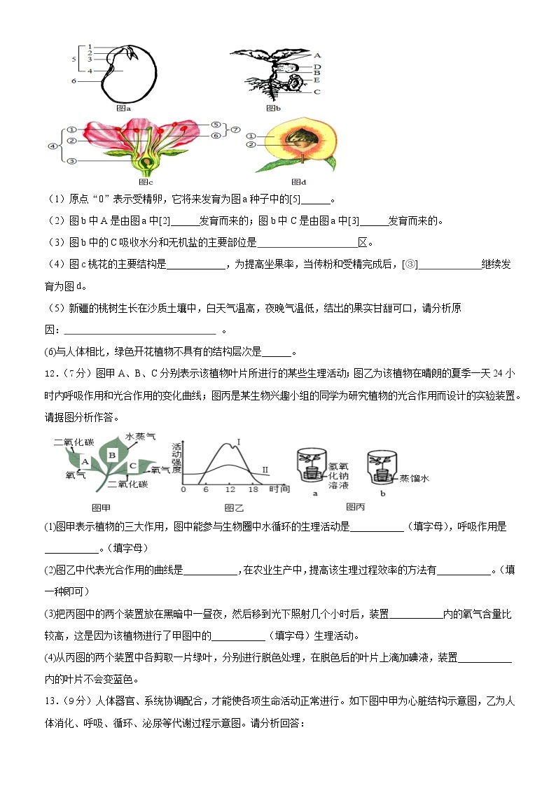 湖北省孝感市云梦县2021-2022学年八年级下学期复习测试生物试卷(word版含答案)03