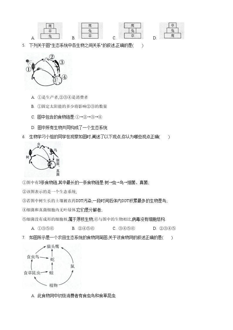 6.2 食物网-七年级生物上册 课件+练习（苏科版）02