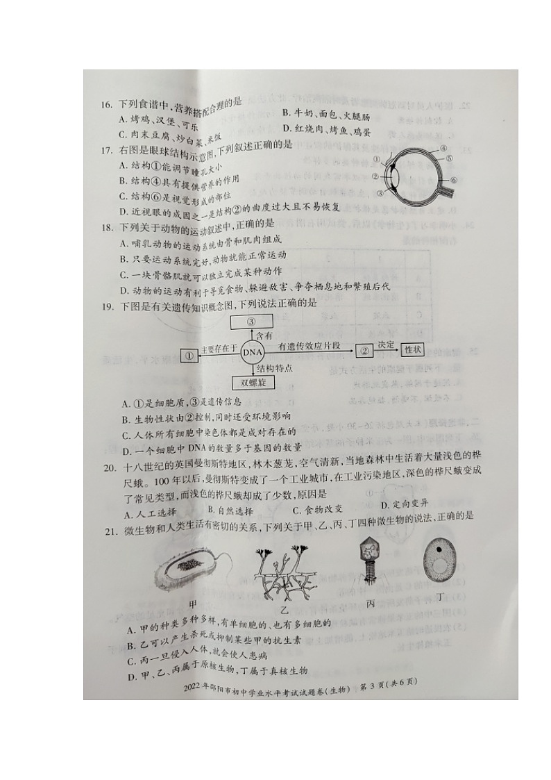 2022年湖南省邵阳市初中中考真题生物卷无答案(图片版)第3页