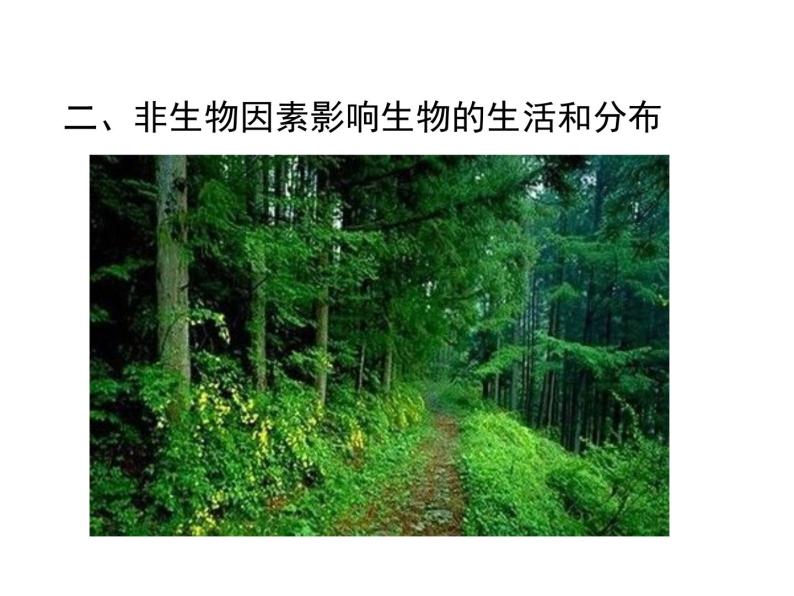 生物与环境的关系（2课时）课件07