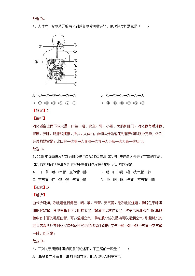 第四单元第3章 人体的呼吸(测试卷)-七年级生物下册单元知识归纳与测试(人教版)(答案)第2页
