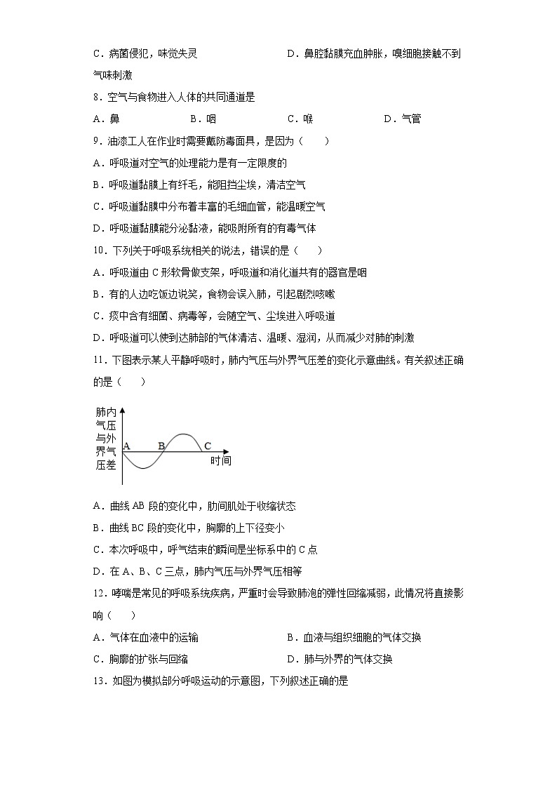 第四单元第3章 人体的呼吸(测试卷)-七年级生物下册单元知识归纳与测试(人教版)(试卷)第2页