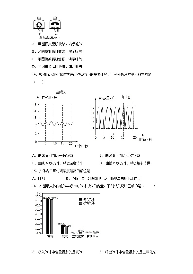 第四单元第3章 人体的呼吸(测试卷)-七年级生物下册单元知识归纳与测试(人教版)(试卷)第3页