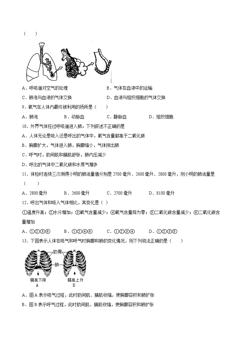 專題03 人體的呼吸【專項訓練】-七年級生物下學期期末專項復習（人教版）（試卷）第2頁