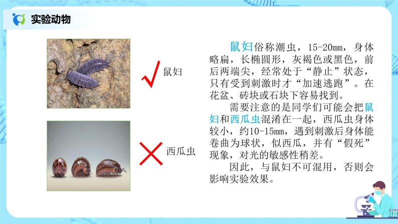 1.2.1《生物与环境的关系》（第二课时）（课件+教案+练习）02