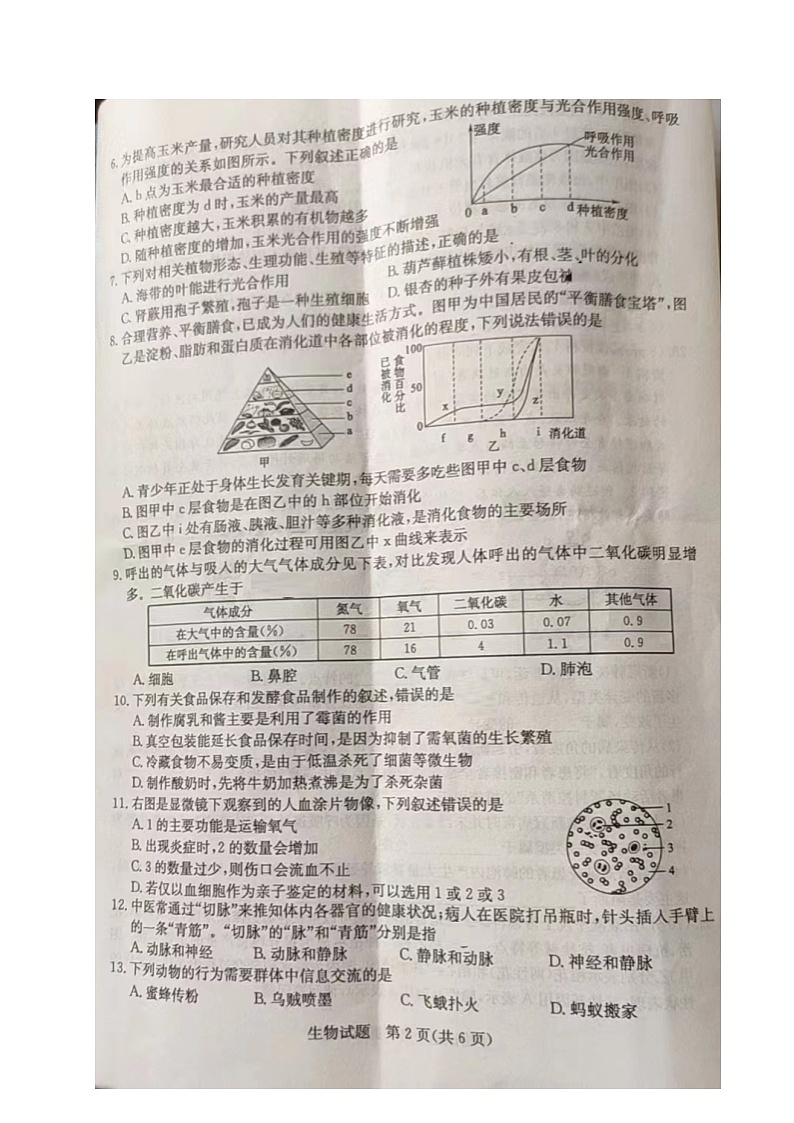 2022年山东省聊城市中考真题生物卷无答案(图片版)第2页