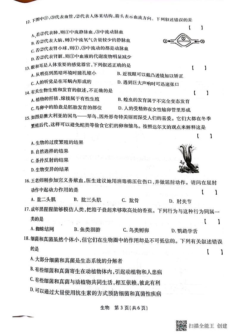 八生第3页
