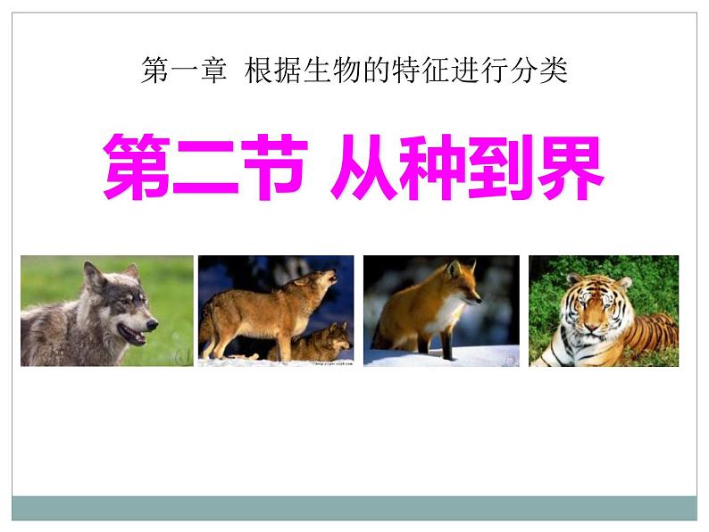 《从种到界》教学课件01