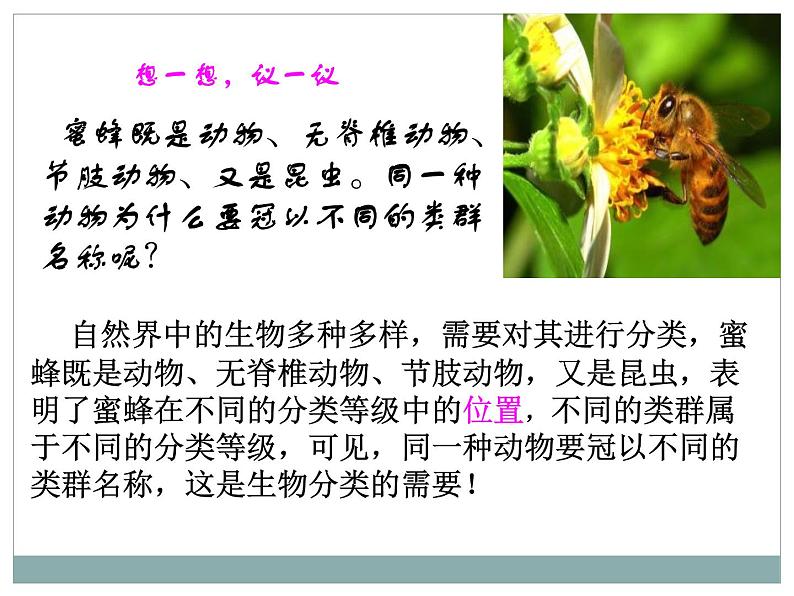 《从种到界》教学课件02