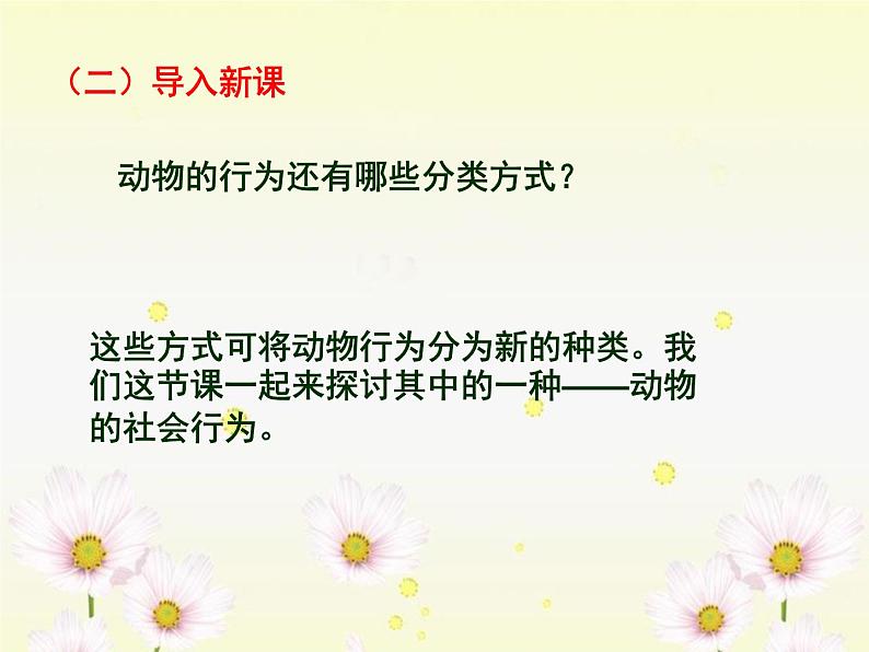 5.2.3《社会行为》教学课件03