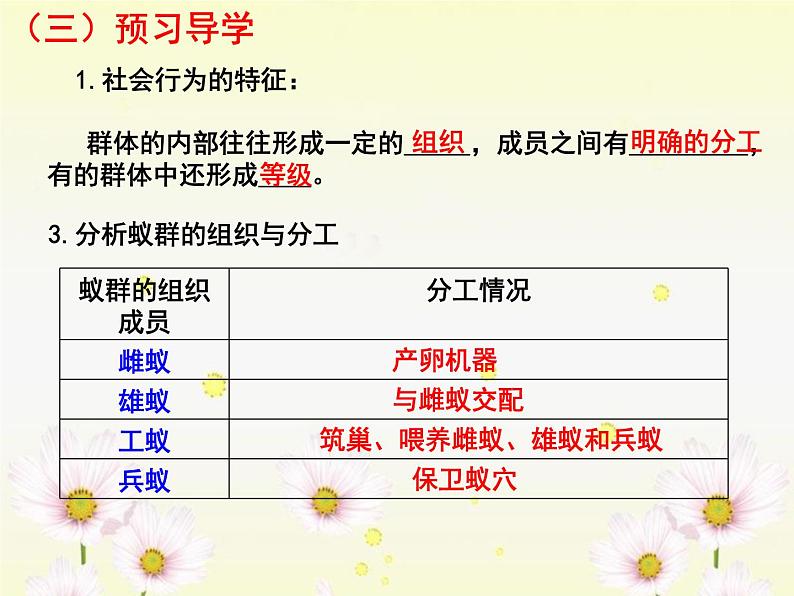 5.2.3《社会行为》教学课件07