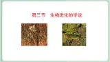 苏教版生物八年级上册16.3 生物进化的学说 课件
