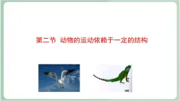 苏教版生物八年级上册17.2 动物的运动依赖于一定的结构  课件