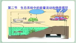 苏教版生物八年级上册19.2 生态系统中的能量流动和物质循环  课件