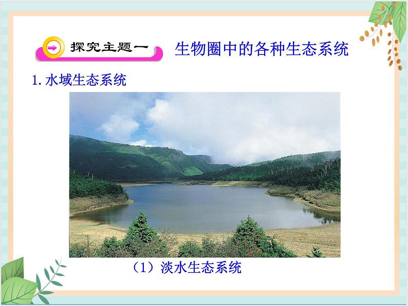 苏教版生物八年级上册20.1 生物圈中的各种生态系统 课件04
