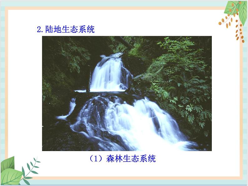苏教版生物八年级上册20.1 生物圈中的各种生态系统 课件06