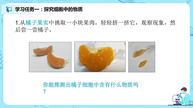 2.1.4《细胞的生活》(课件+教案+练习)05