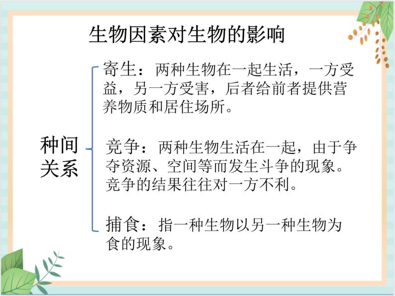 北京版七年级生物上册第一章 第二节 认识我们身边的其他生物 课件+教案+素材06