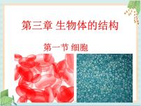 初中生物北京版七年级上册第一节  细胞优秀ppt课件