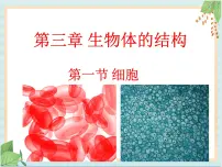 初中生物北京版七年级上册第一节 细胞优秀ppt课件