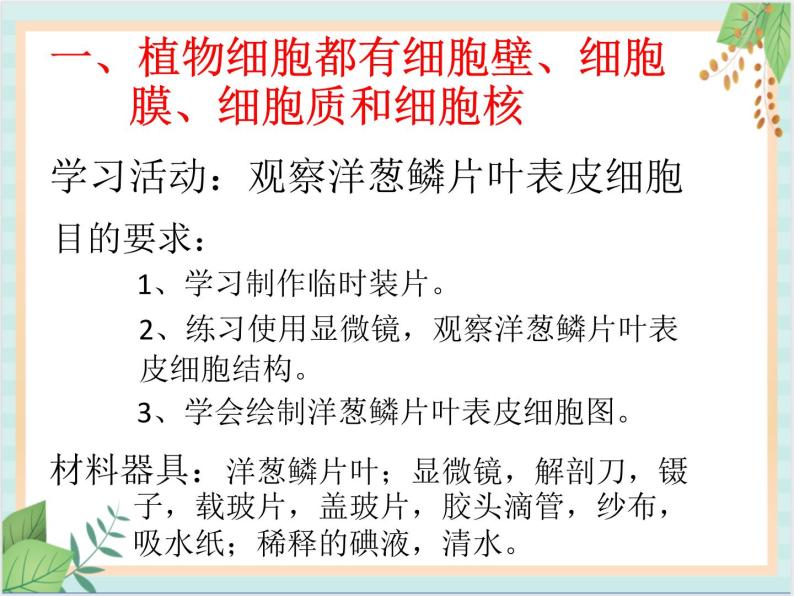 北京版七年级生物上册第三章 第一节 细胞 课件+教案+素材03