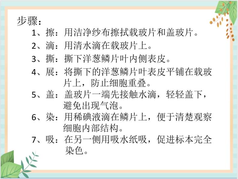 北京版七年级生物上册第三章 第一节 细胞 课件+教案+素材04