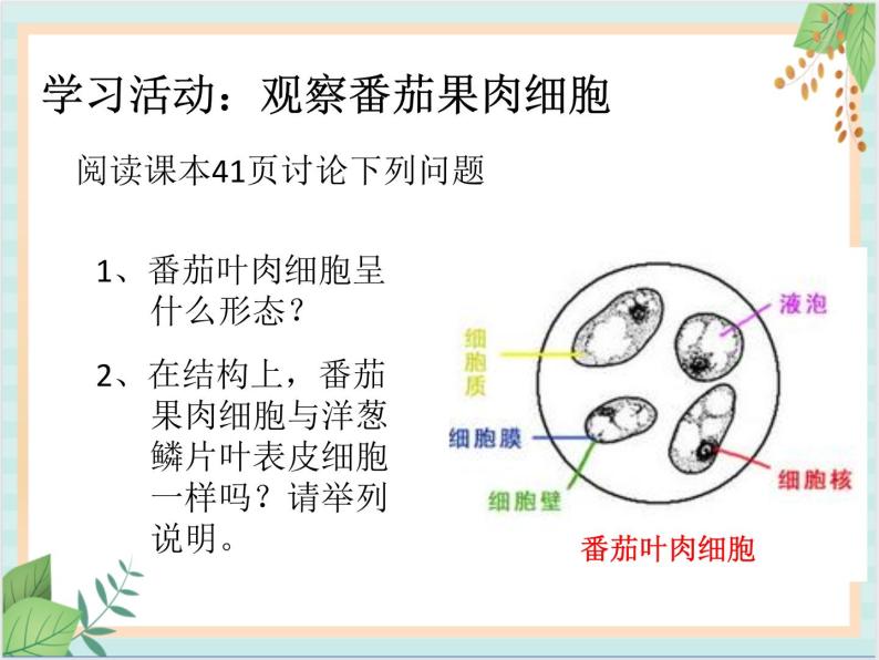 北京版七年级生物上册第三章 第一节 细胞 课件+教案+素材06