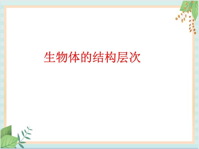 北京版七年级生物上册第三章 第二节 生物体 课件+教案+素材01