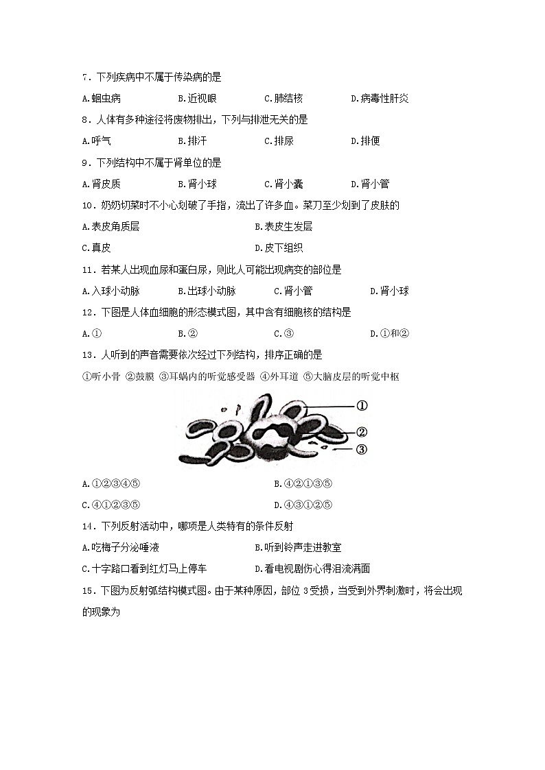 河南省安阳市安阳县2021-2022学年七年级下学期期末考试生物试卷第2页