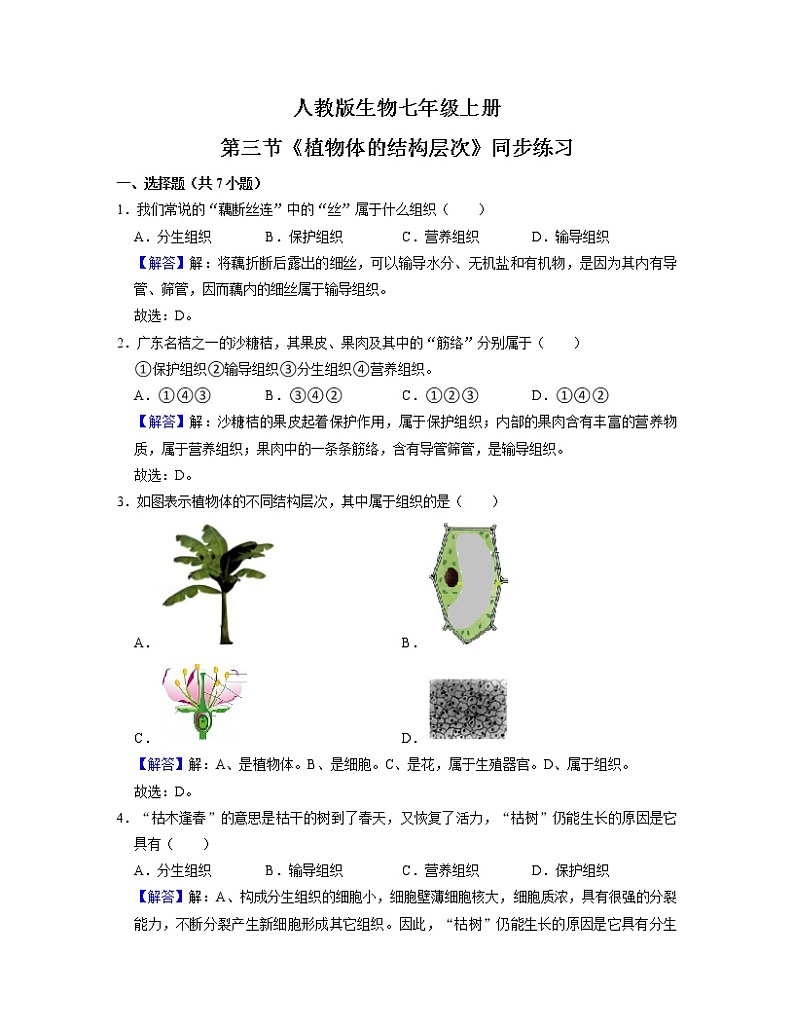 2.2.3《植物体的结构层次》(课件+教案+练习)01