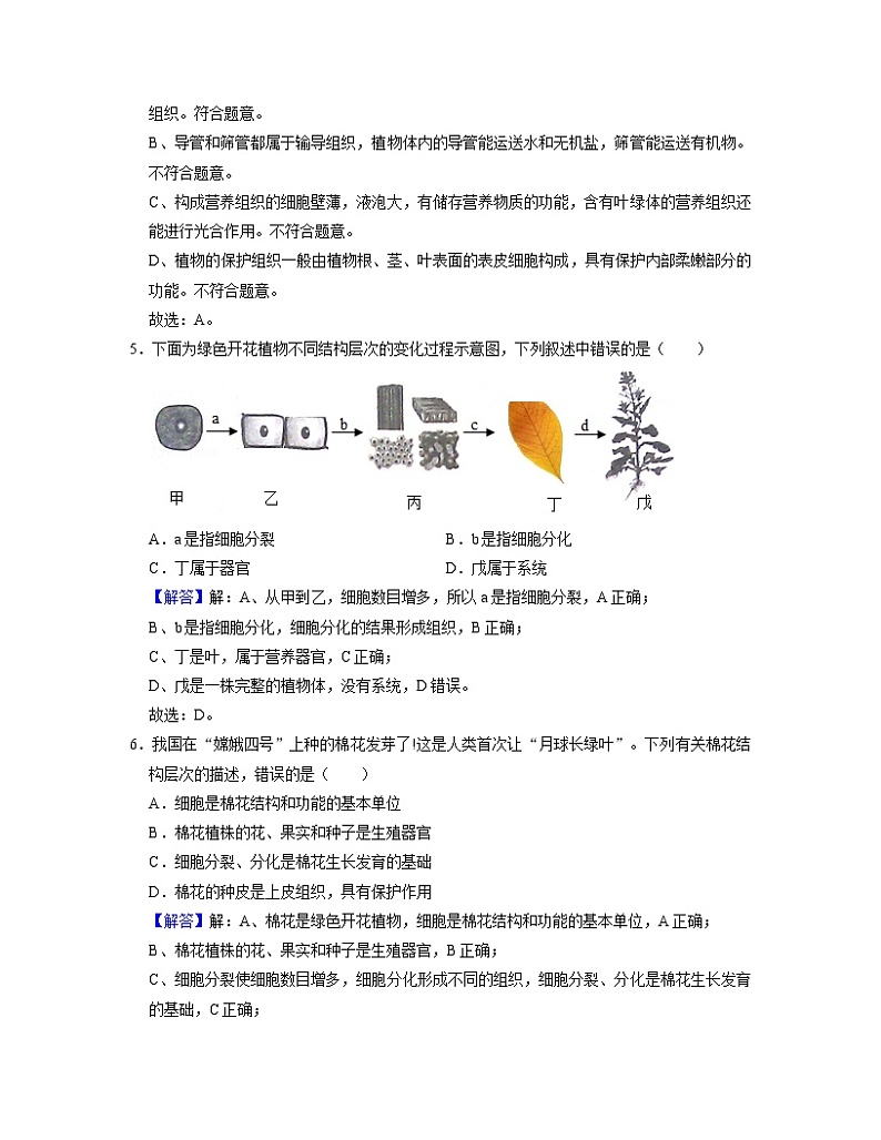 2.2.3《植物体的结构层次》(课件+教案+练习)02